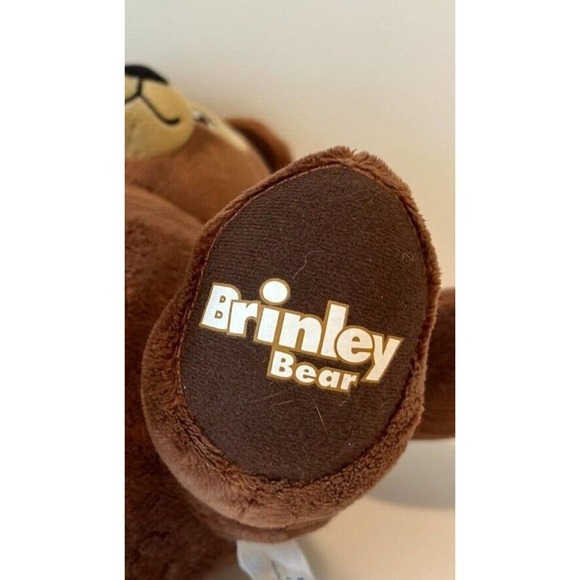 Build a Bear Workshop "Brinley" 10" BAB on paw/Name on foot 2022 *RARE - Picture 8 of 11
